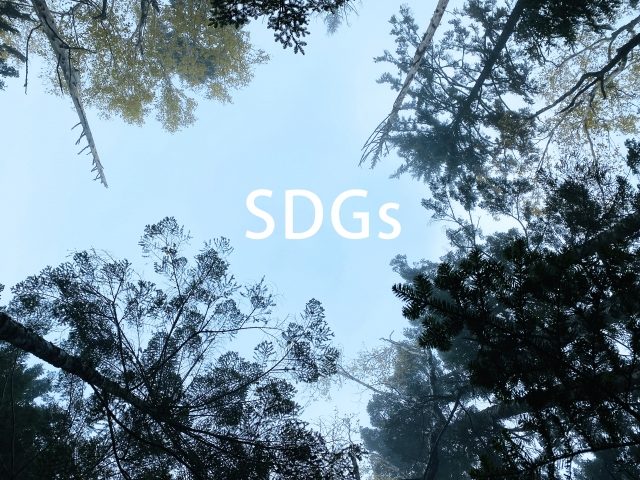 SDGsを表す森