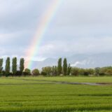 畑と虹