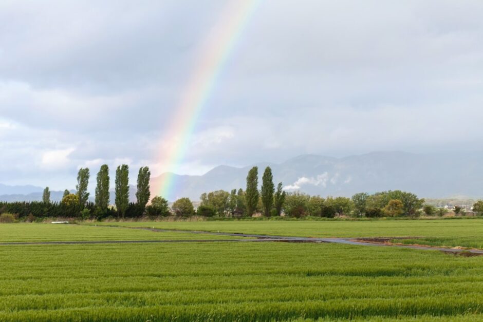 畑と虹